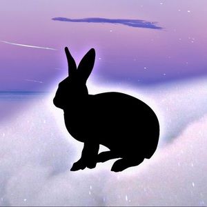 Meet your Posher, Raven